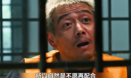 最新刑侦电视剧,刑侦剧中的智慧较量与真相追寻