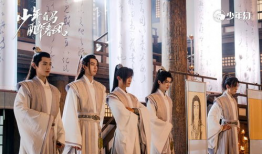 电视剧少年,青春岁月的奋斗与成长