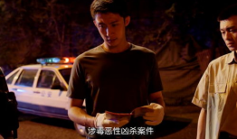 最新刑侦电视剧,刑侦剧中的智慧较量与真相追寻